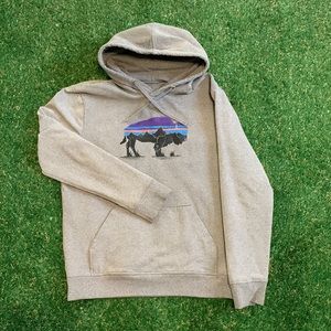 Patagonia Sweater